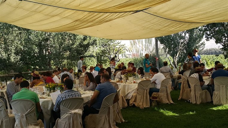 Wine Tasting at Domaine Wardy 